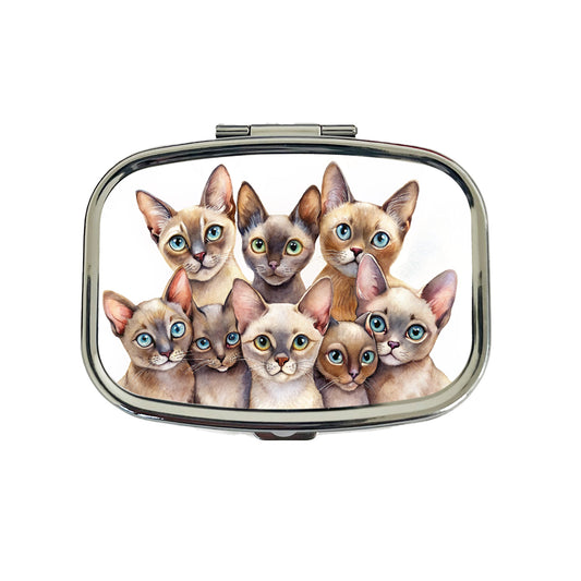 Sweet Burmese Cats Travel Pill Box Case