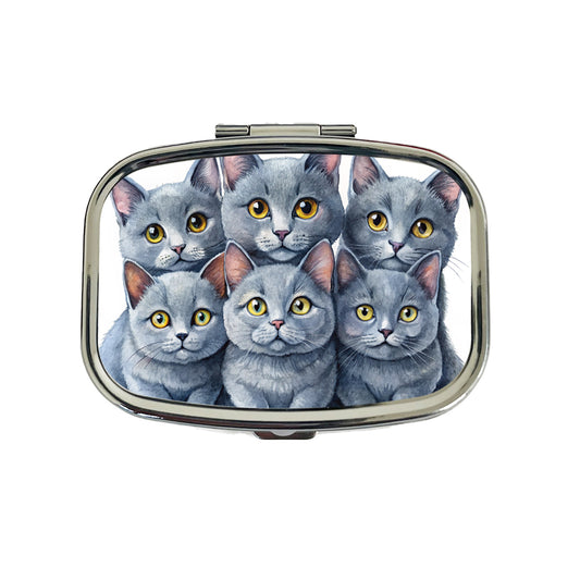 Sweet Chartreux Cats Travel Pill Box Case