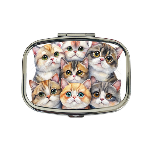 Sweet Exotic Shorthair Cats Travel Pill Box Case