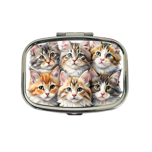 Sweet Maine Coon Cats Travel Pill Box Case
