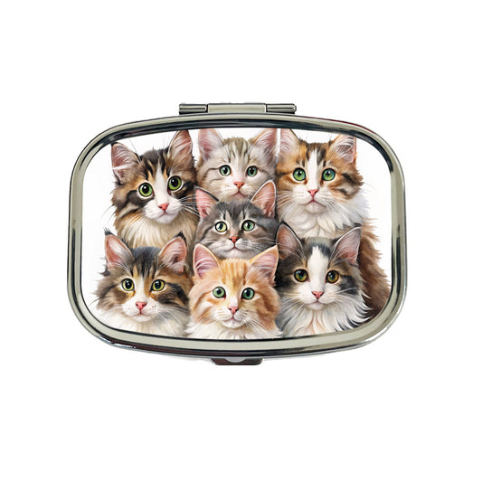 Sweet Norwegian Forest Cats Travel Pill Box Case