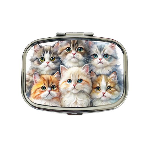 Sweet Persian Cats Travel Pill Box Case