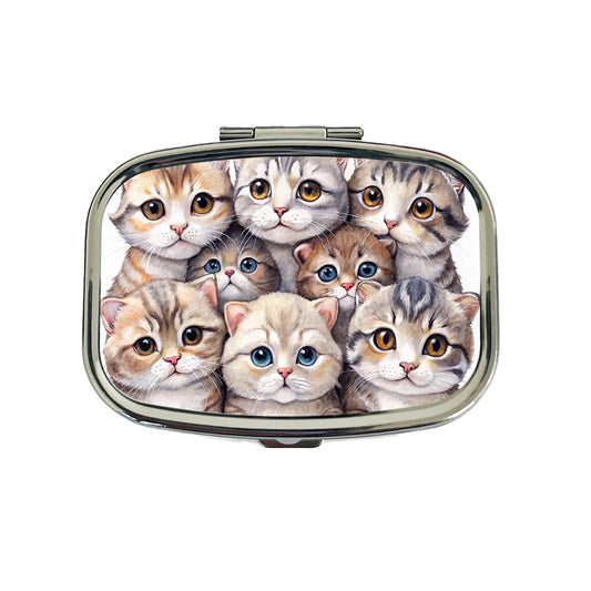 Sweet Scottish Fold Cats Travel Pill Box Case