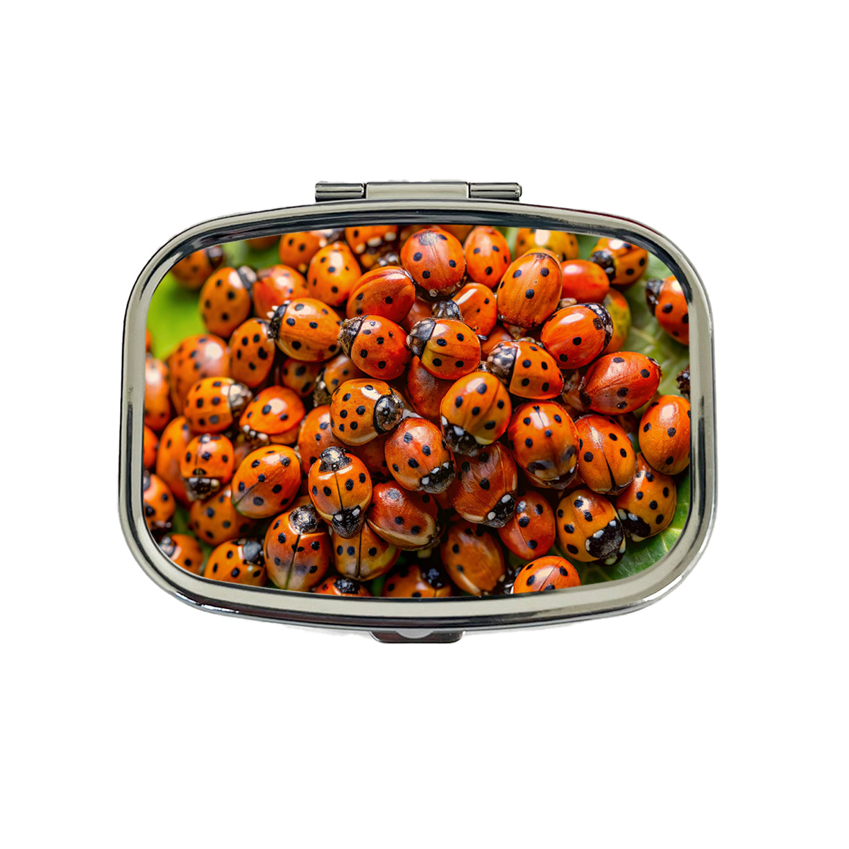 Close-Up Of Ladybugs Covering Leaf Travel Pill Box Case