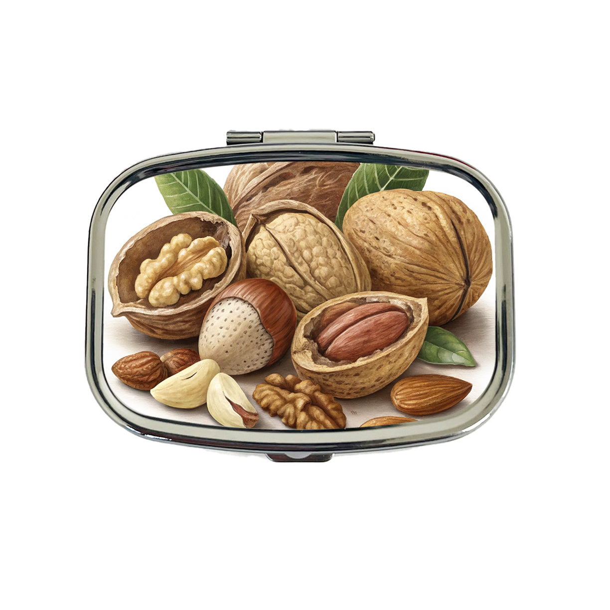 Walnuts Hazelnuts Almonds Brazil Nuts Travel Pill Box Case