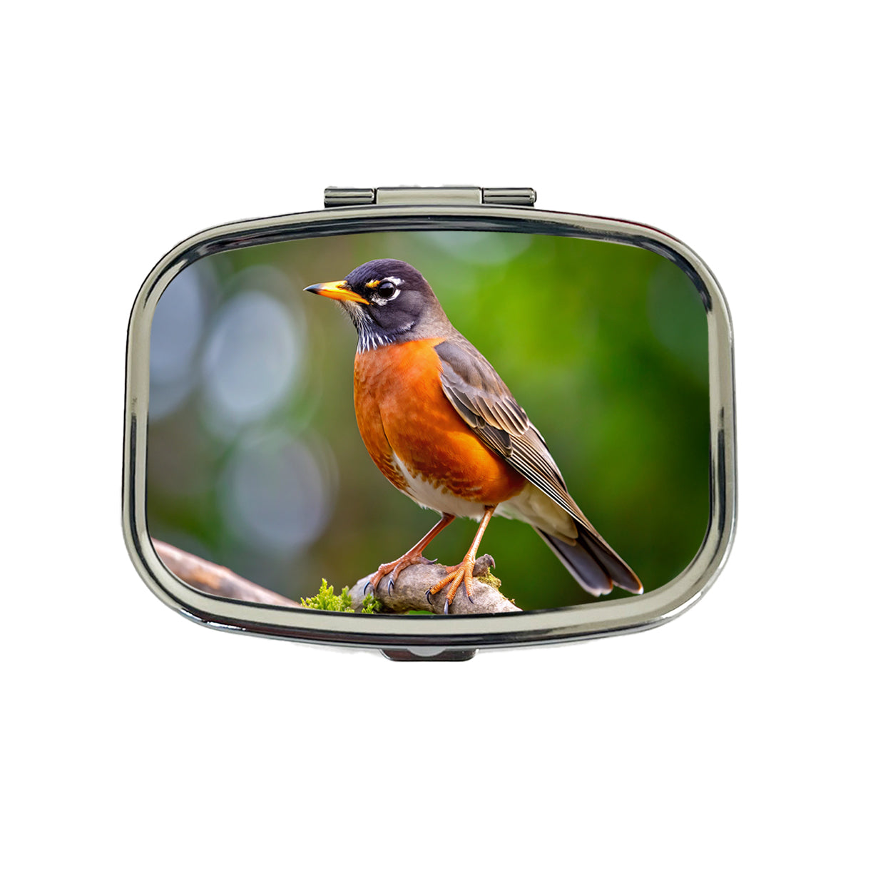 American Robin Backyard Bird Travel Pill Box Case