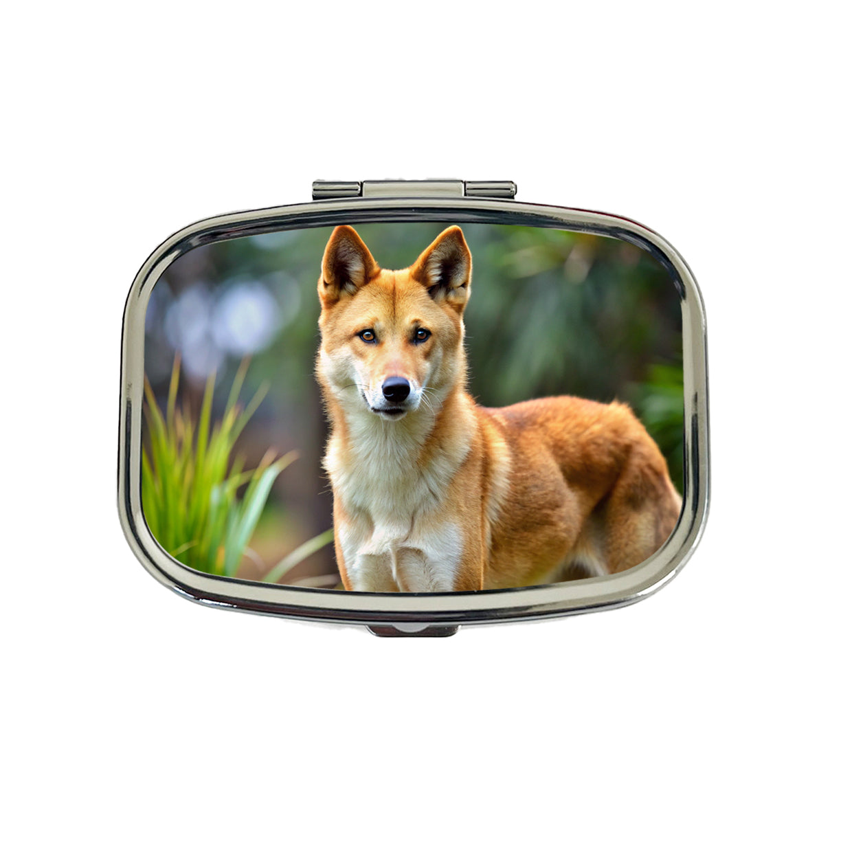 Australian Dingo Travel Pill Box Case