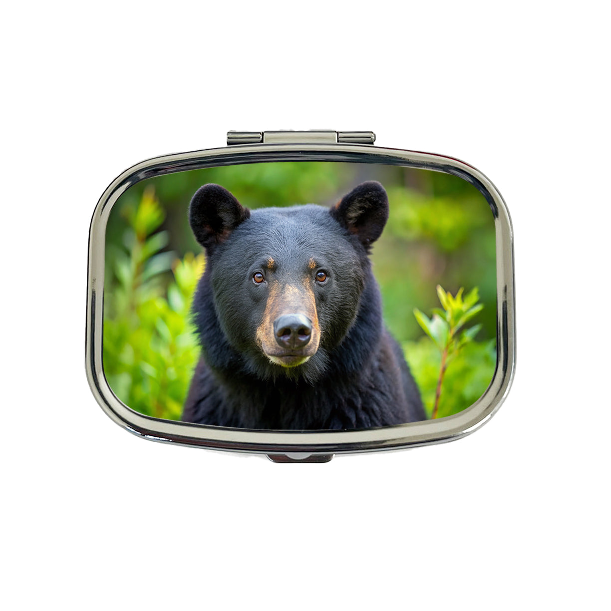 Black Bear Travel Pill Box Case