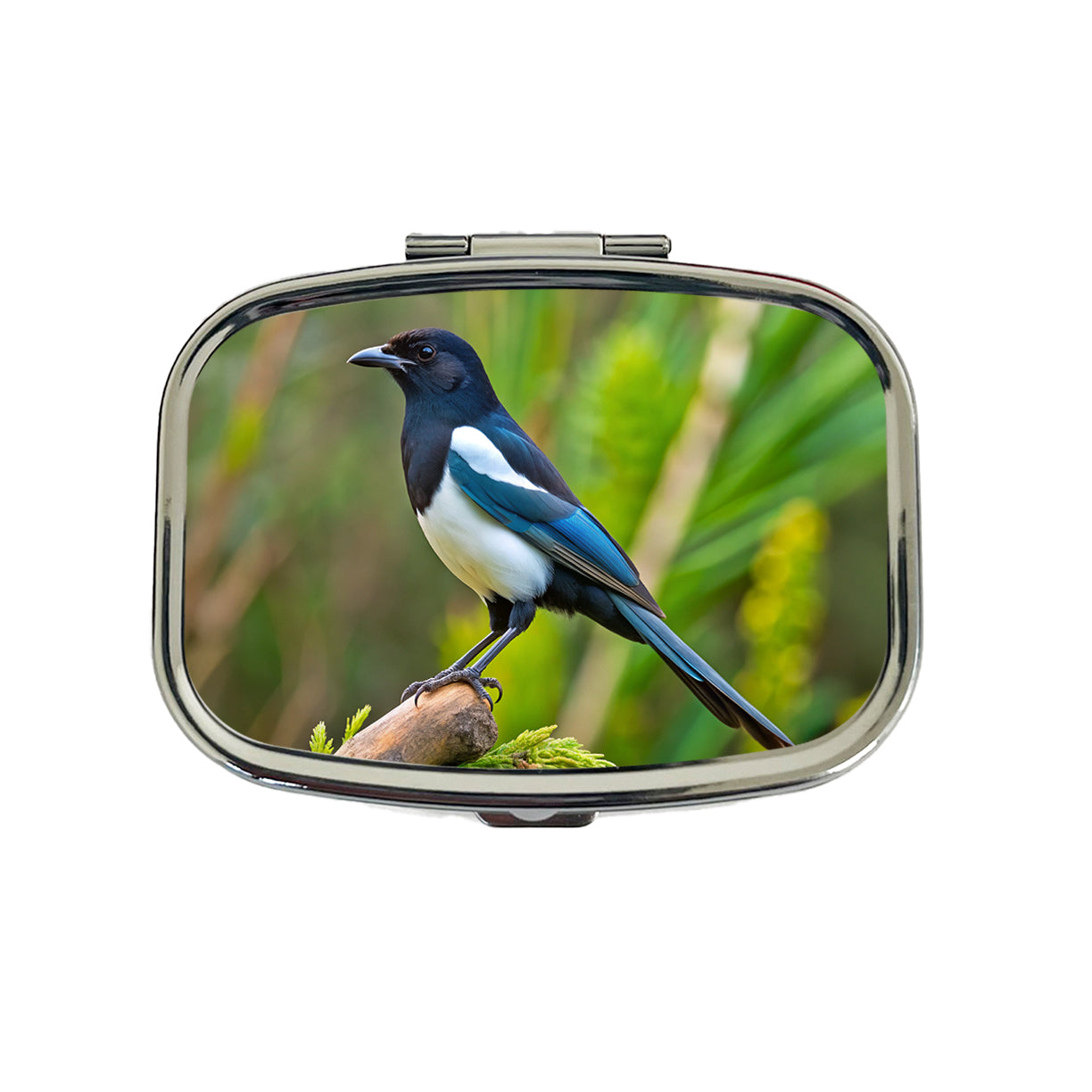 Black Billed Magpie Backyard Bird Travel Pill Box Case