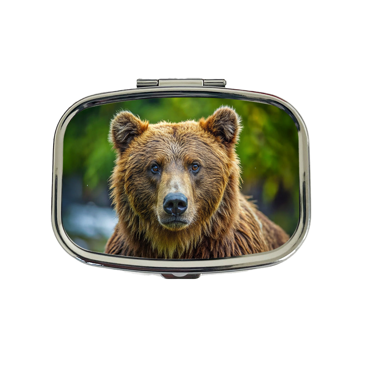 Brown Bear Travel Pill Box Case
