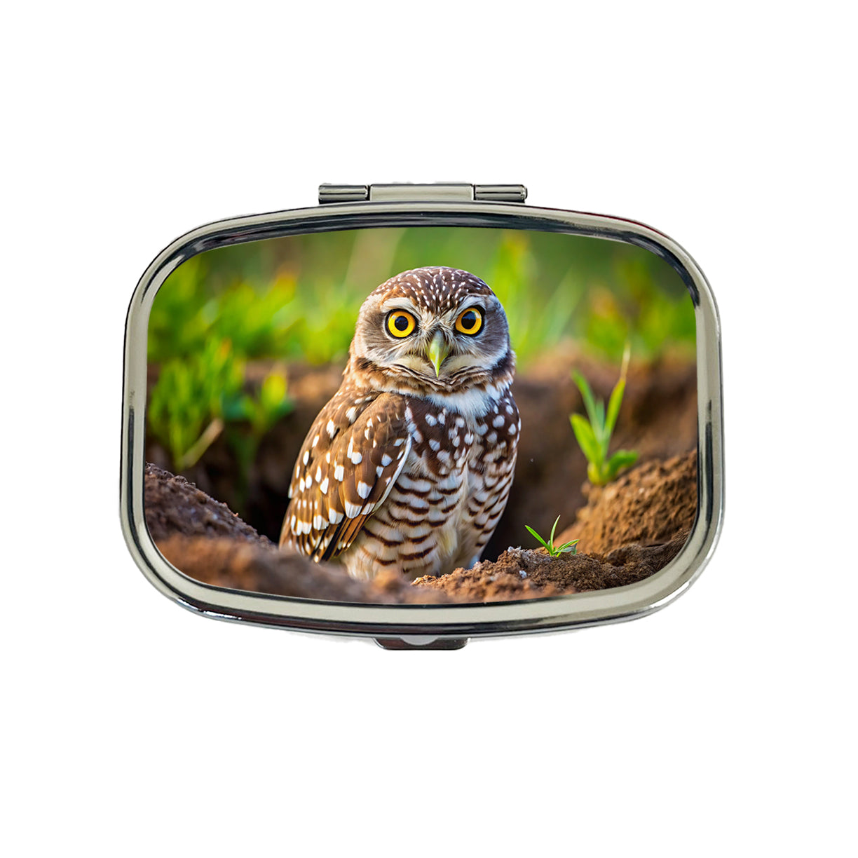 Burrowing Owl Raptor Bird Of Prey Travel Pill Box Case