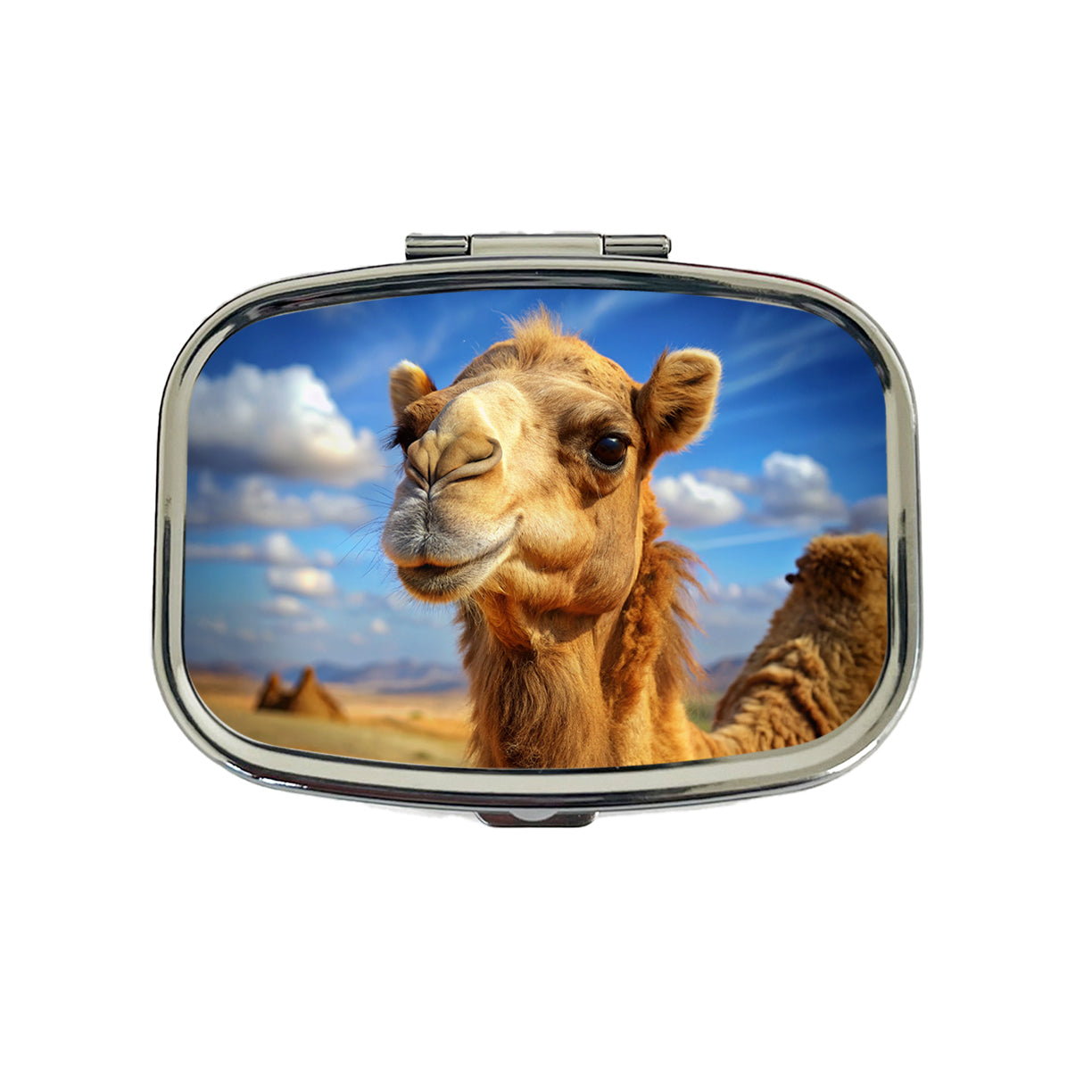 Camel Travel Pill Box Case