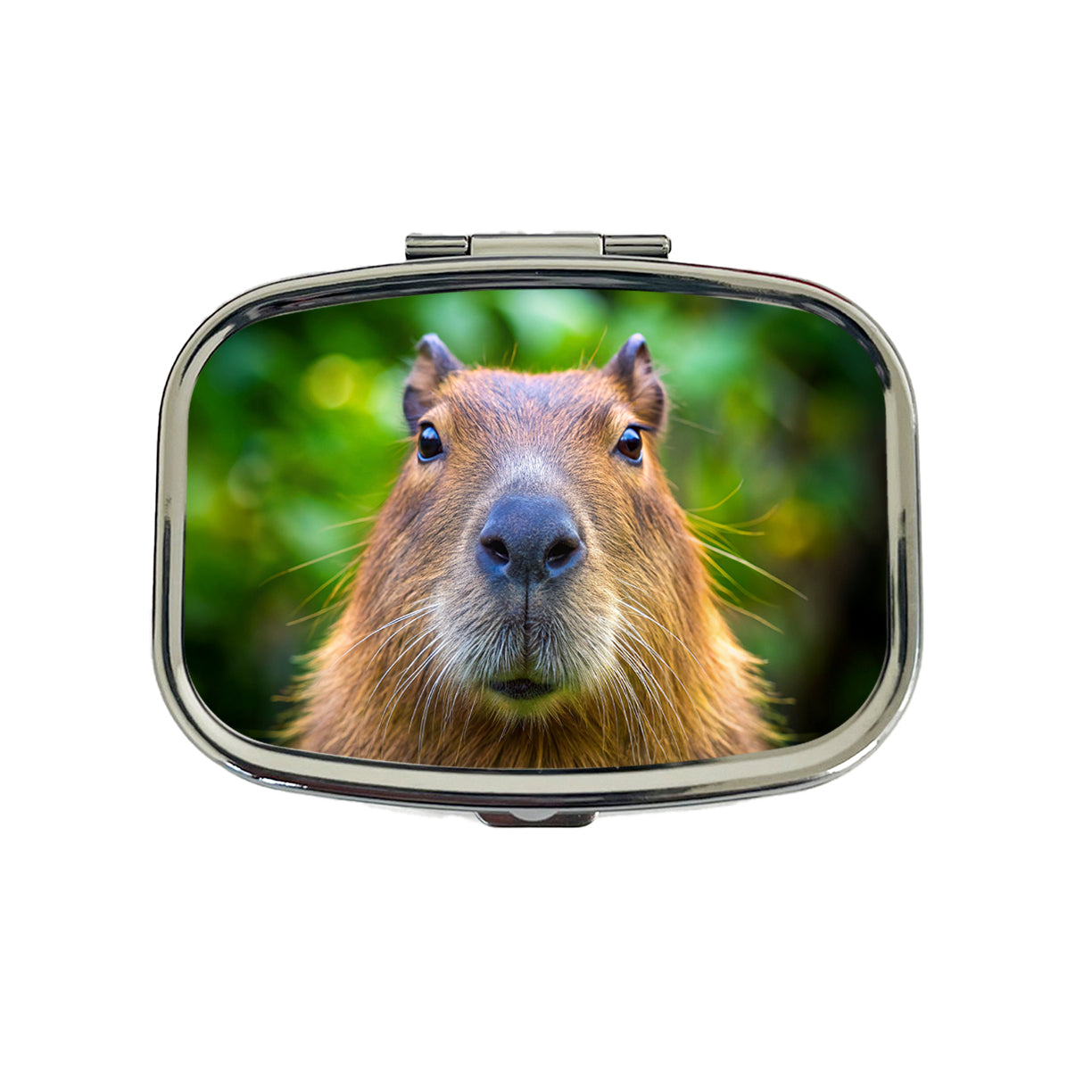 Capybara Face Travel Pill Box Case