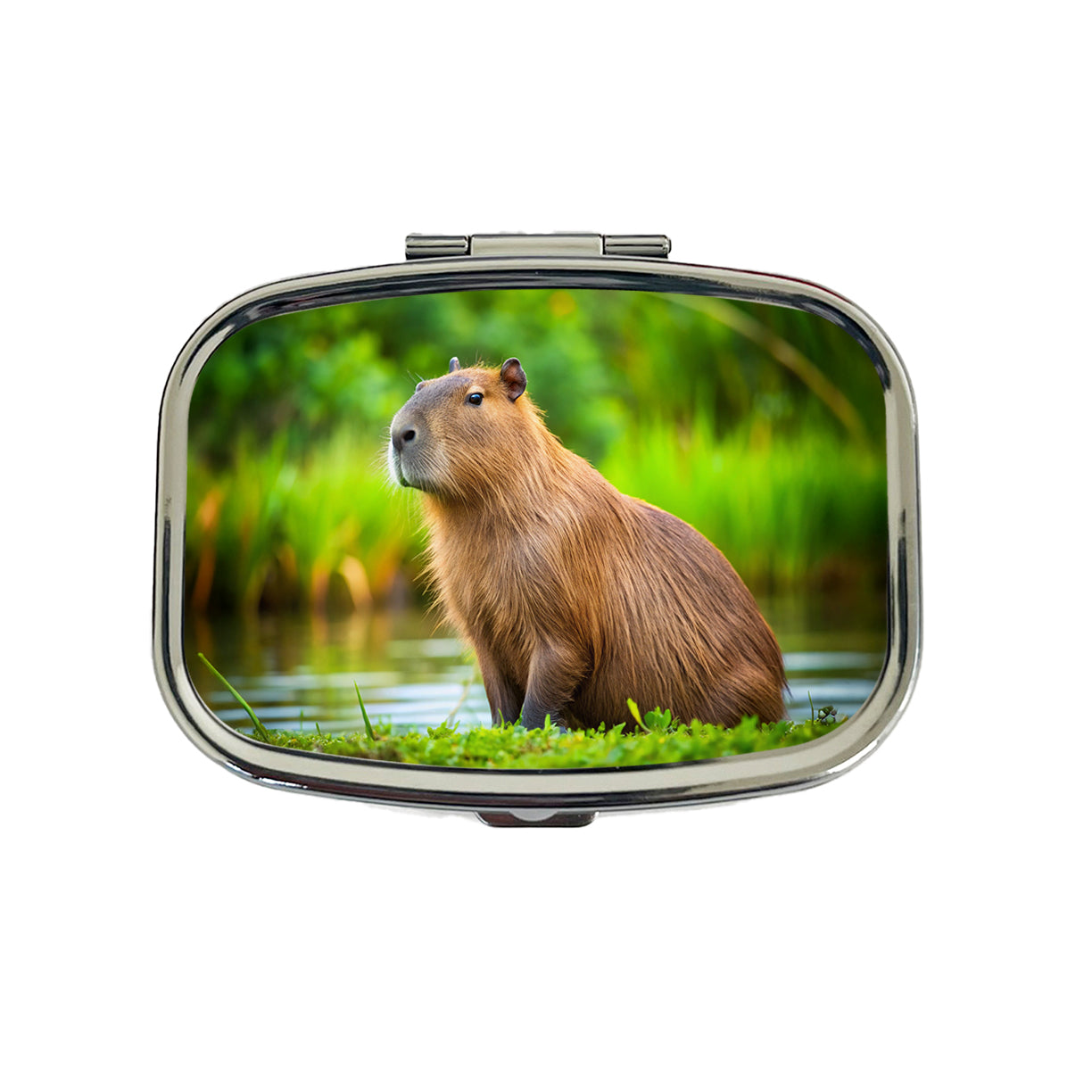 Capybara Travel Pill Box Case