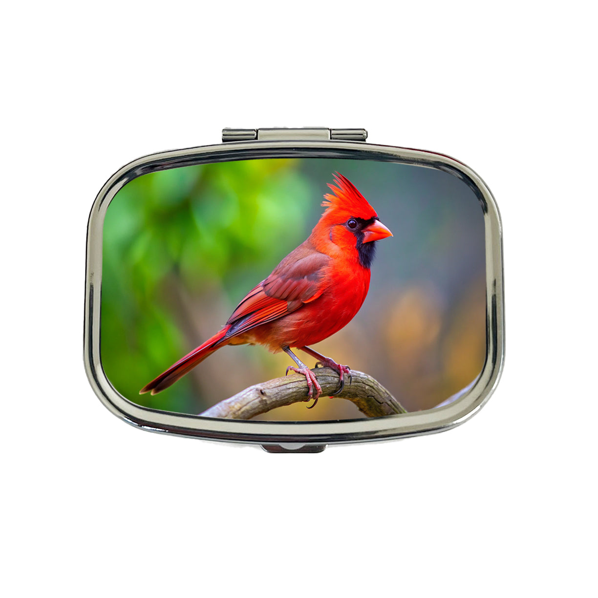 Cardinal Backyard Bird Travel Pill Box Case