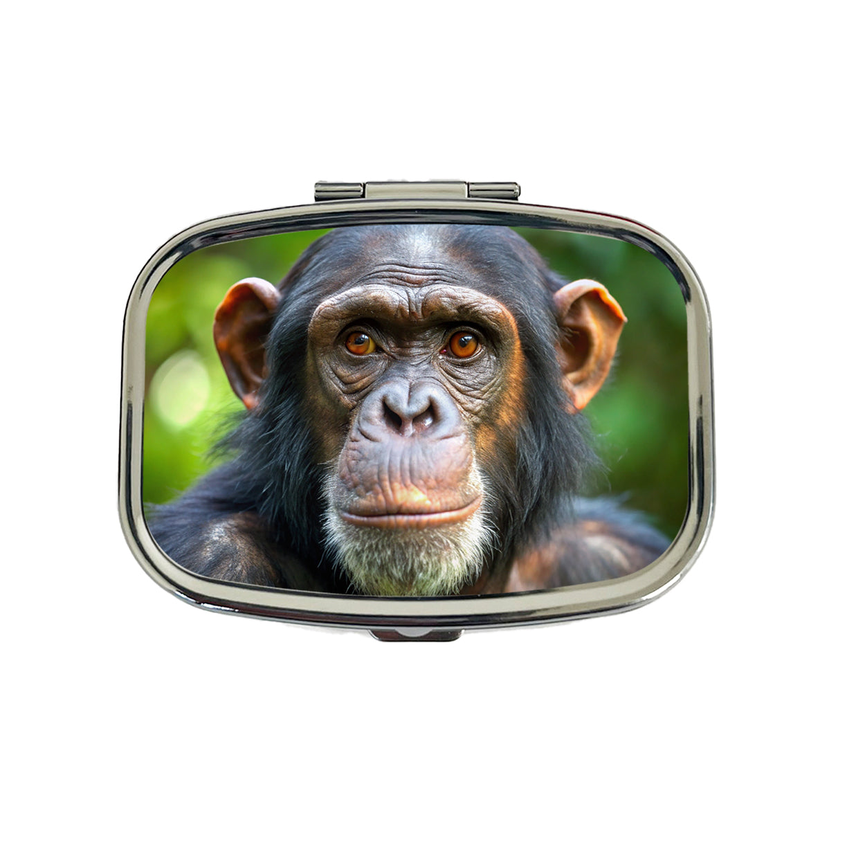 Chimpanzee Monkey Travel Pill Box Case