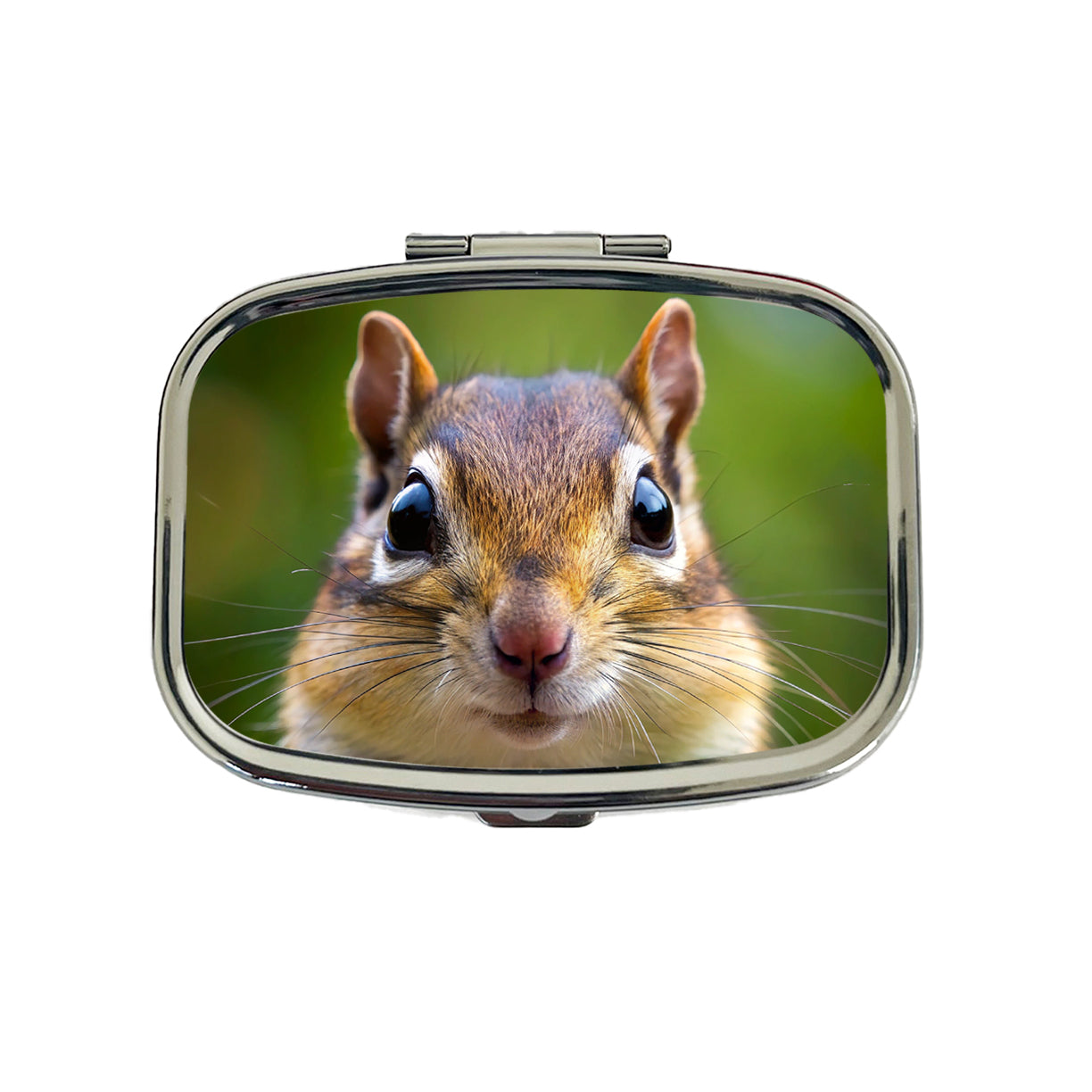 Chipmunk Face Travel Pill Box Case