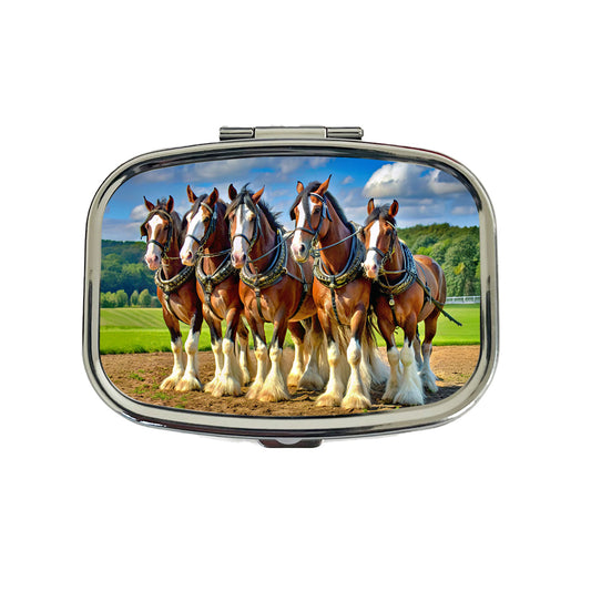 Clydesdale Horses Travel Pill Box Case