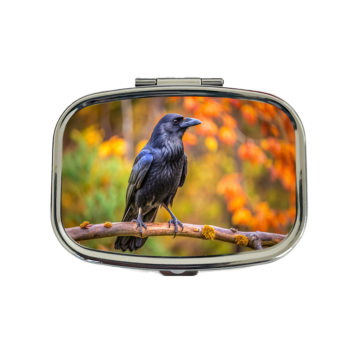 Common Raven Backyard Bird Travel Pill Box Case