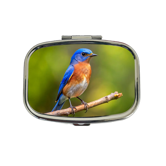 Eastern Bluebird Backyard Bird Travel Pill Box Case