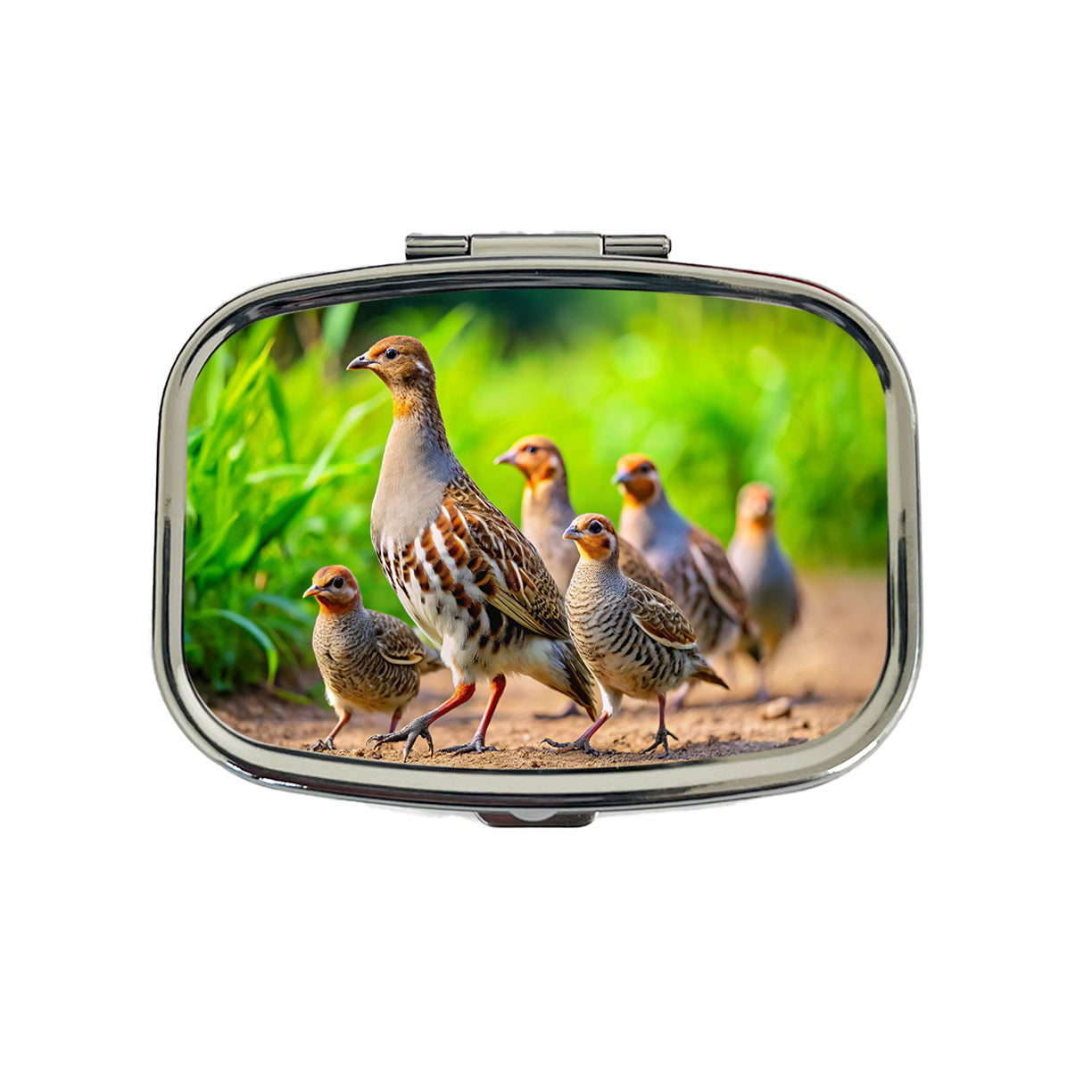 Family Of Partridge Birds Travel Pill Box Case