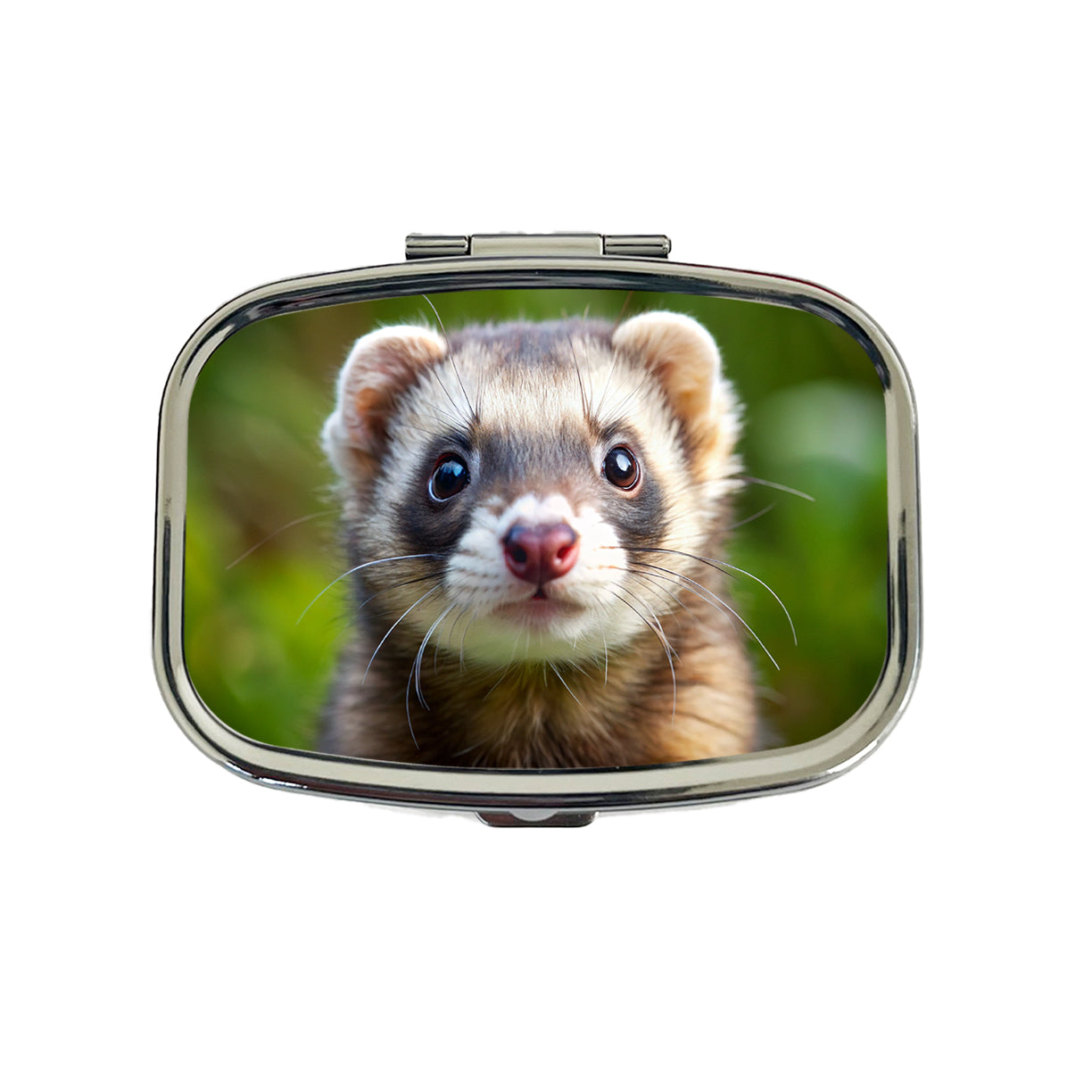 Ferret Travel Pill Box Case
