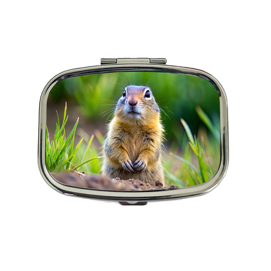 Gopher Travel Pill Box Case