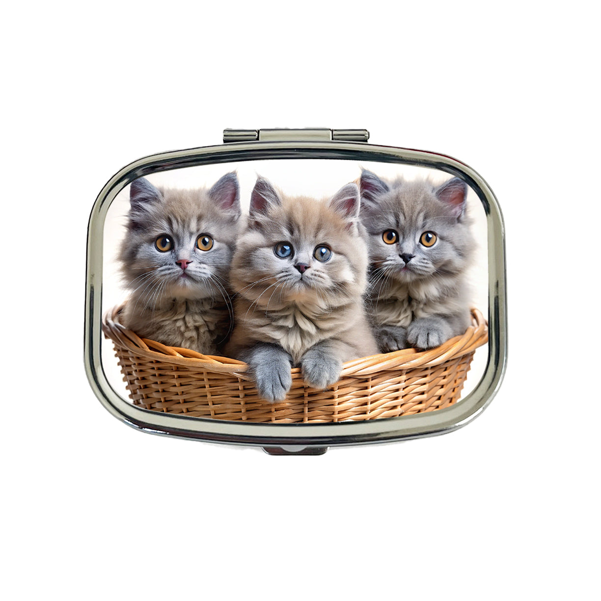 Gray British Longhair Kittens In A Basket Travel Pill Box Case
