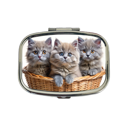 Gray British Longhair Kittens In A Basket Travel Pill Box Case