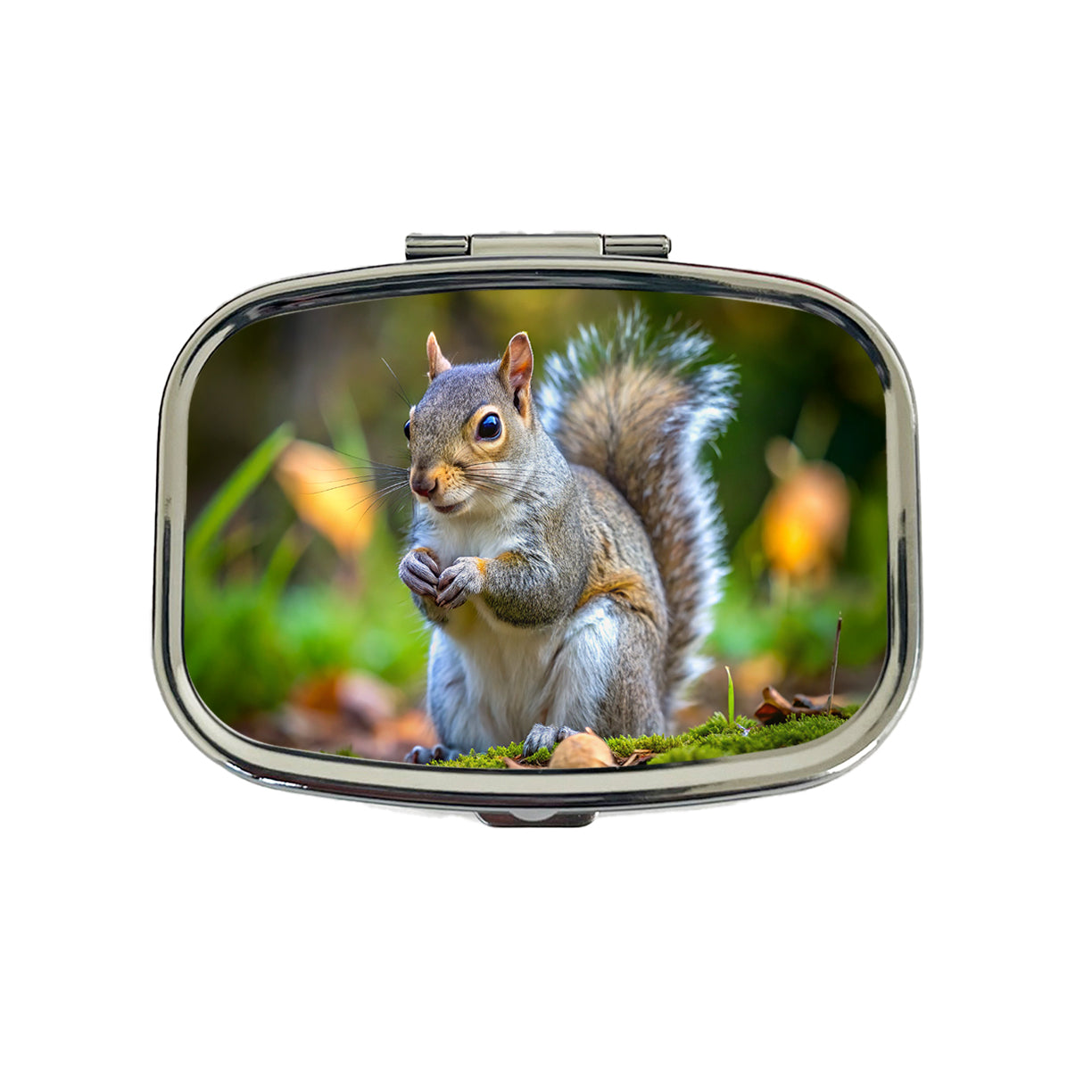 Gray Squirrel Travel Pill Box Case
