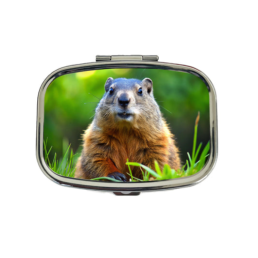 Groundhog Travel Pill Box Case