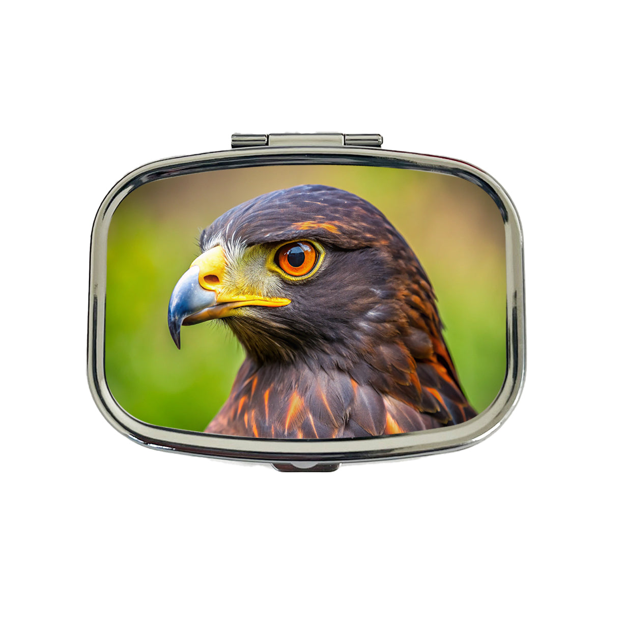 Harris's Hawk Raptor Bird Of Prey Travel Pill Box Case