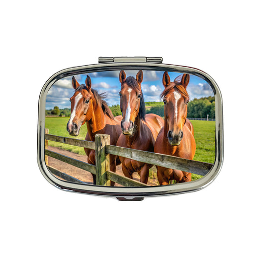 Horses Standing At The Fence Travel Pill Box Case