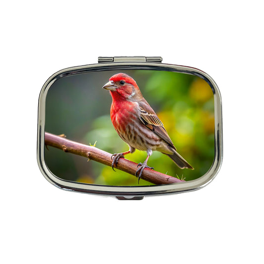House Finch Backyard Bird Travel Pill Box Case