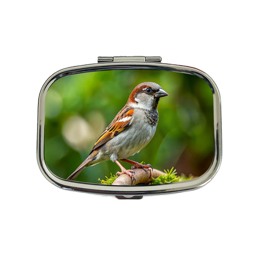 House Sparrow Backyard Bird Travel Pill Box Case