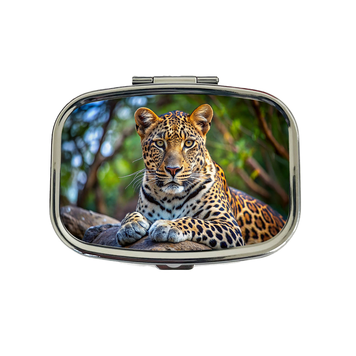 Leopard Travel Pill Box Case