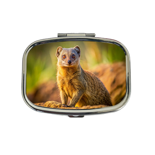 Mongoose Travel Pill Box Case