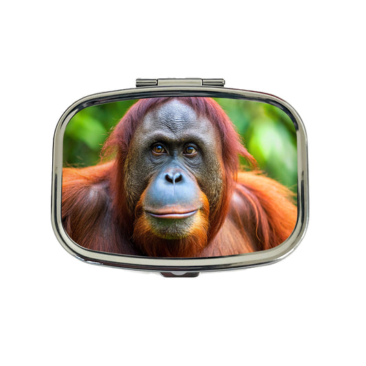 Orangutan Monkey Ape Travel Pill Box Case