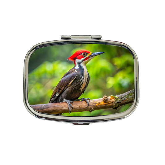 Pileated Woodpecker Backyard Bird Travel Pill Box Case