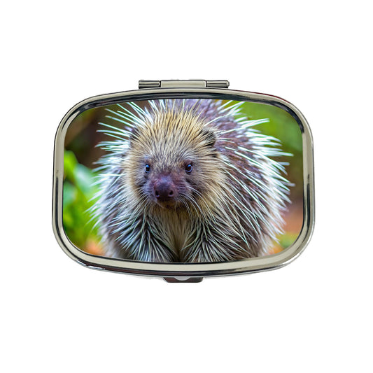 Porcupine Travel Pill Box Case