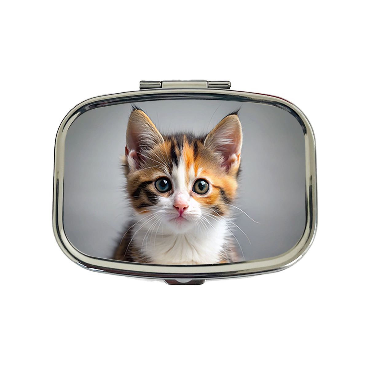 Calico Cat Kitten Photo Travel Pill Box Case