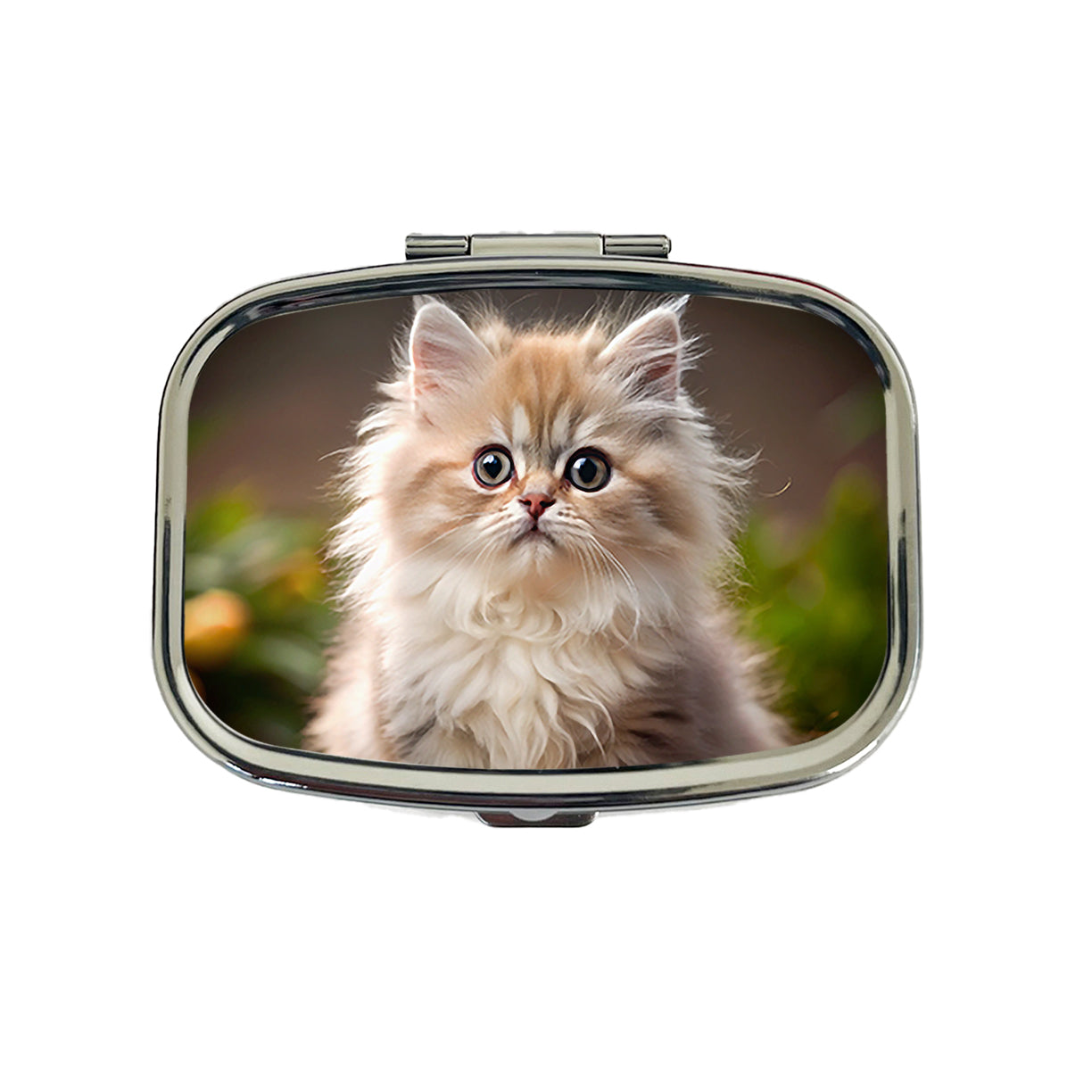 Persian Cat Kitten Photo Travel Pill Box Case