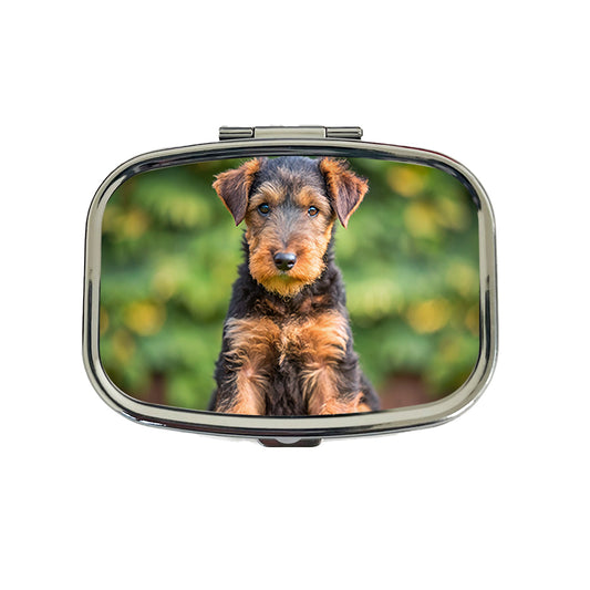 Airedale Terrier Dog Puppy Photo Travel Pill Box Case
