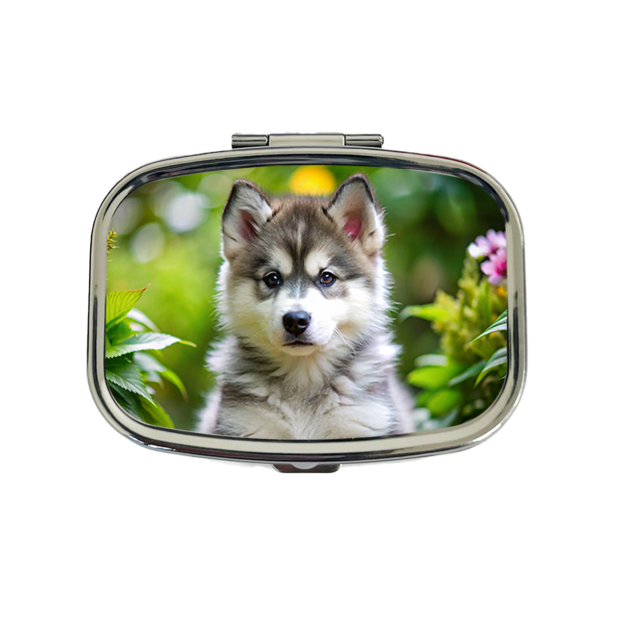 Alaskan Malamute Dog Puppy Photo Travel Pill Box Case