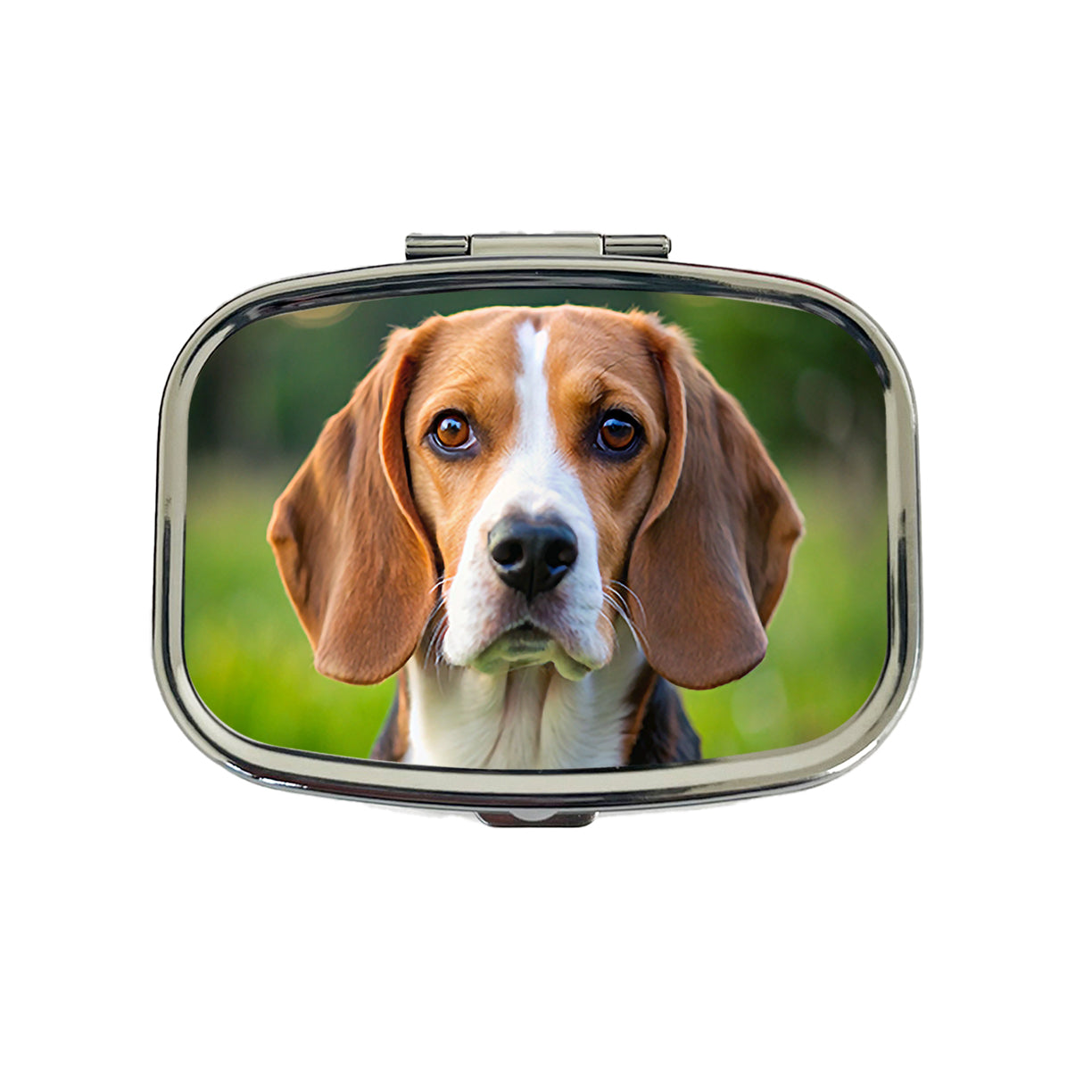 Beagle Dog Photo Travel Pill Box Case
