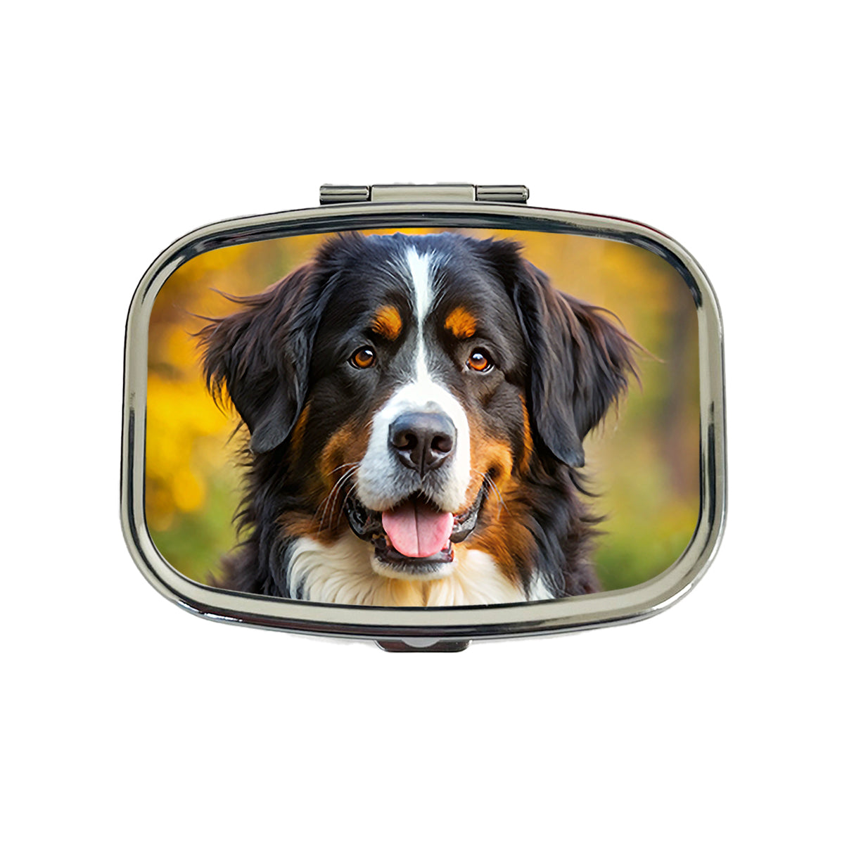 Bernese Mountain Dog Photo Travel Pill Box Case