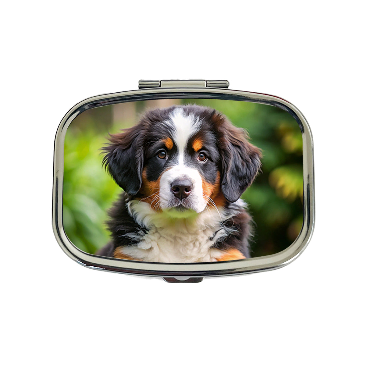 Bernese Mountain Dog Puppy Photo Travel Pill Box Case