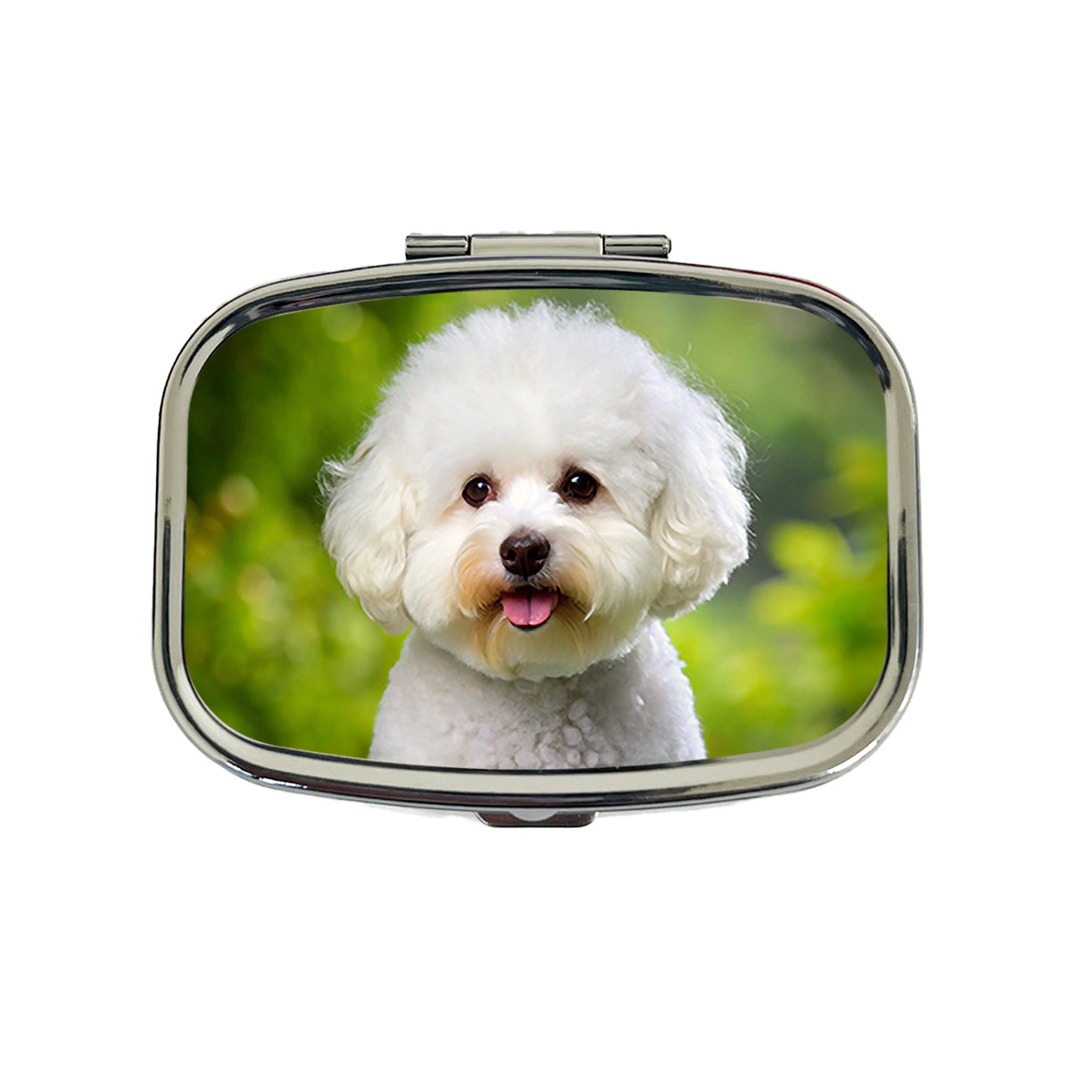 Bichon Frise Dog Photo Travel Pill Box Case