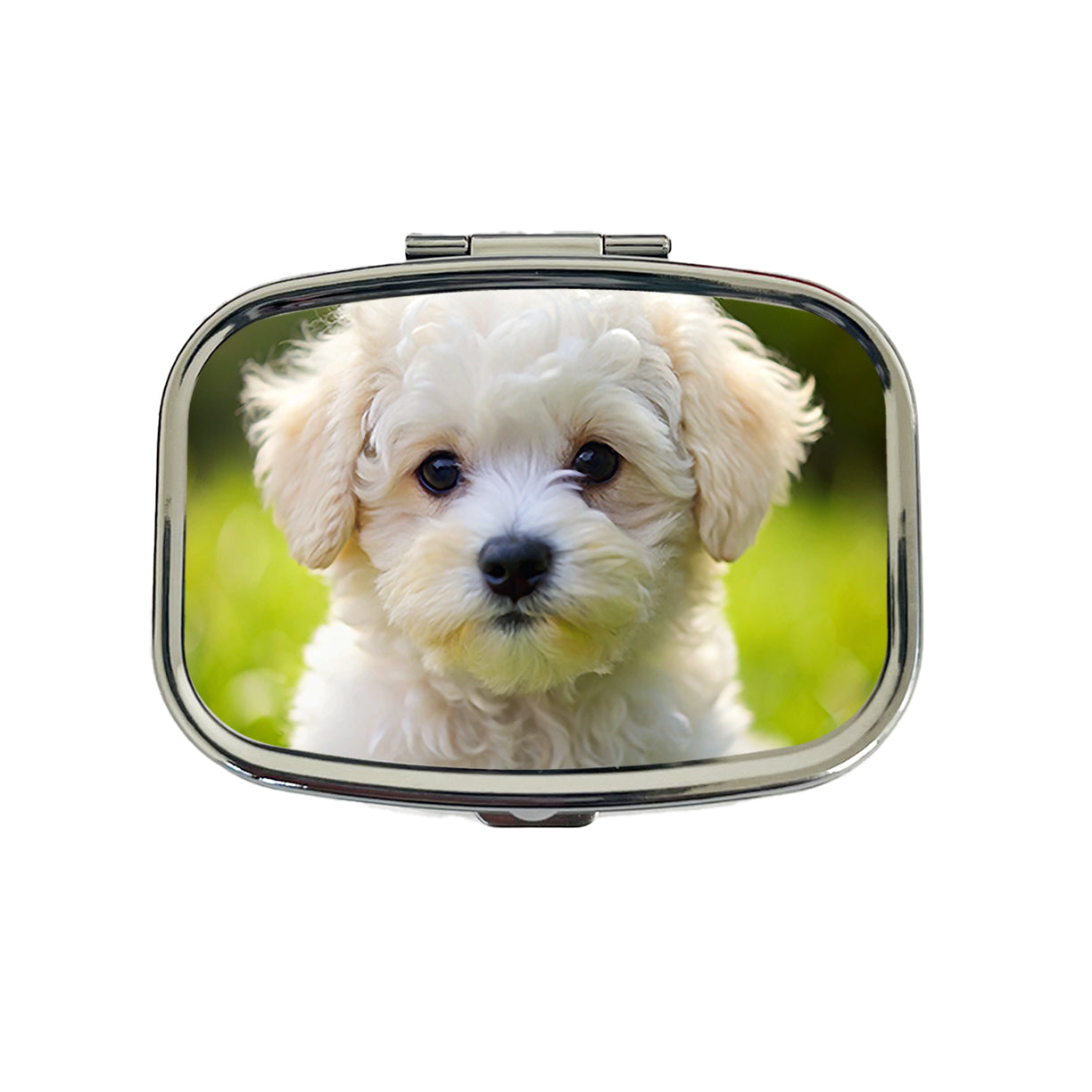 Bichon Frise Dog Puppy Photo Travel Pill Box Case