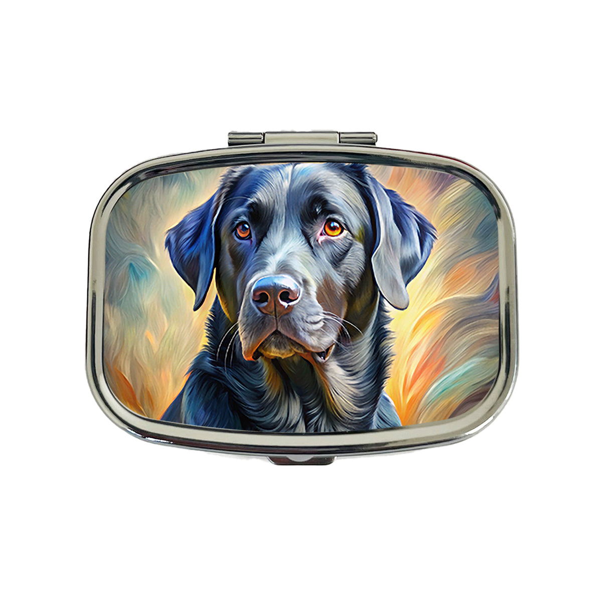 Black Labrador Retriever Dog Expressionism Art Travel Pill Box Case